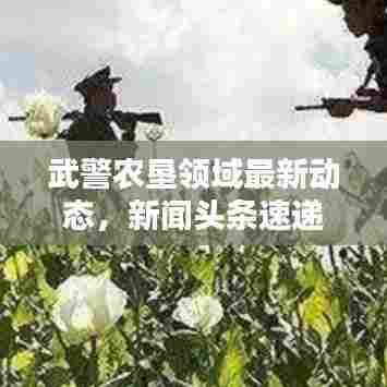 武警农垦领域最新动态，新闻头条速递