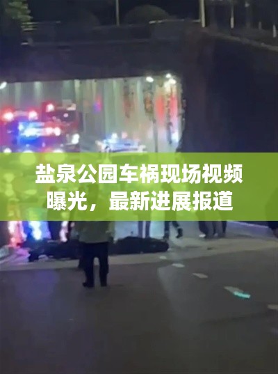 盐泉公园车祸现场视频曝光，最新进展报道