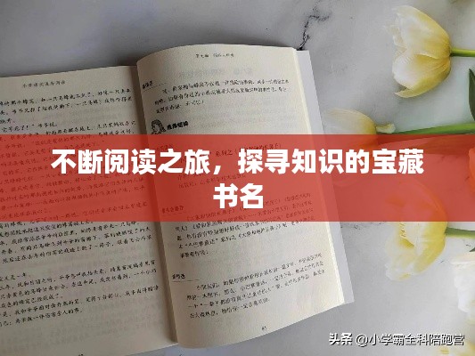 不断阅读之旅，探寻知识的宝藏书名