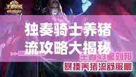 独奏骑士养猪流攻略大揭秘！