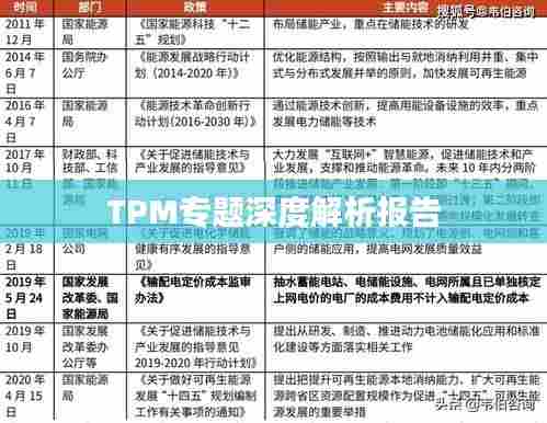 TPM专题深度解析报告