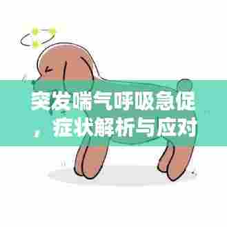 突发喘气呼吸急促,症状解析与应对攻略