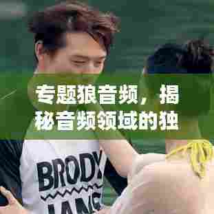 专题狼音频，揭秘音频领域的独特魅力与无限可能