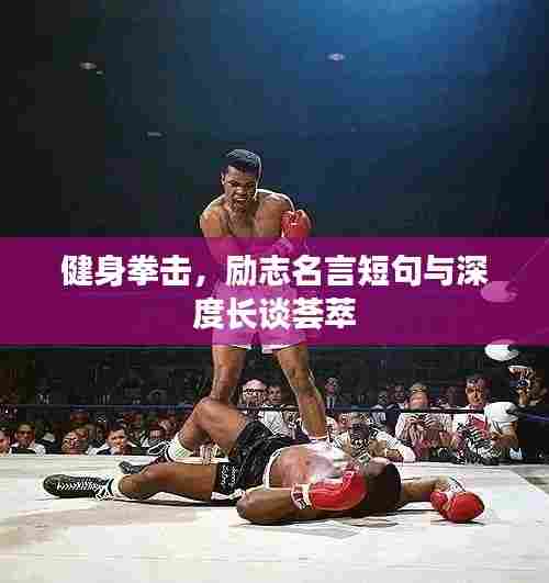 走马观花 第5页