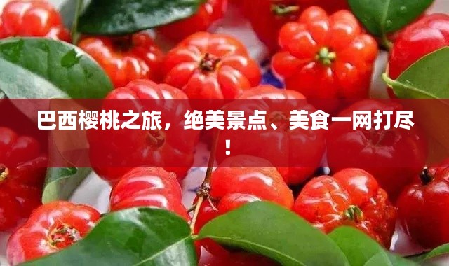 巴西樱桃之旅，绝美景点、美食一网打尽！