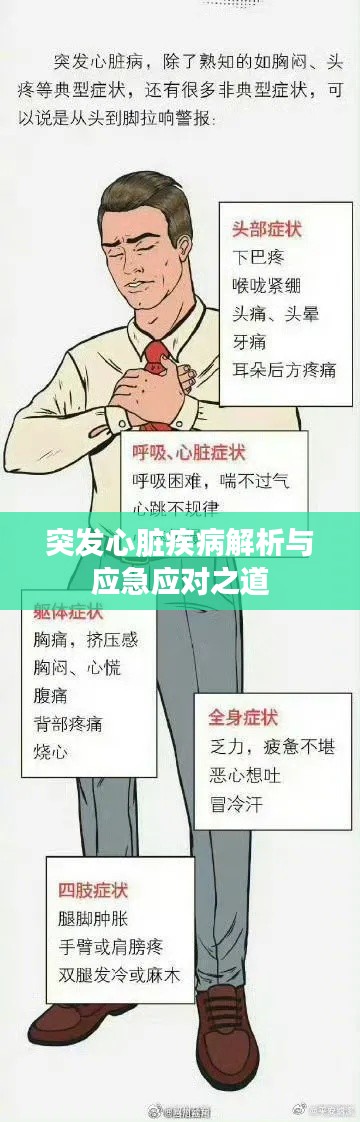 突发心脏疾病解析与应急应对之道