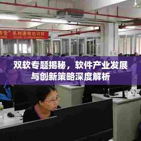 双软专题揭秘，软件产业发展与创新策略深度解析