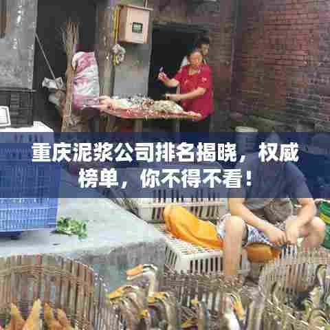 重庆泥浆公司排名揭晓，权威榜单，你不得不看！