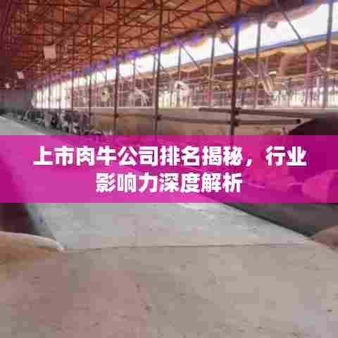 上市肉牛公司排名揭秘，行业影响力深度解析