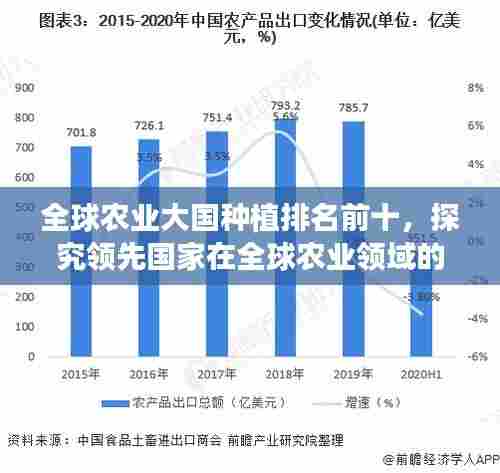 全球农业大国种植排名前十,探究领先国家在全球农业领域的先锋地位