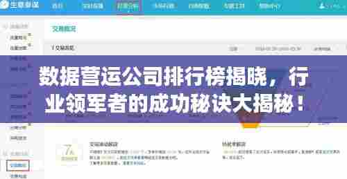 数据营运公司排行榜揭晓，行业领军者的成功秘诀大揭秘！