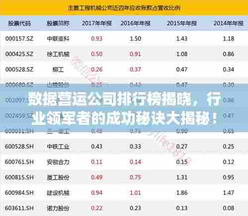 数据营运公司排行榜揭晓,行业领军者的成功秘诀大揭秘!