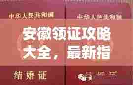 安徽领证攻略大全，最新指南助你轻松领证！