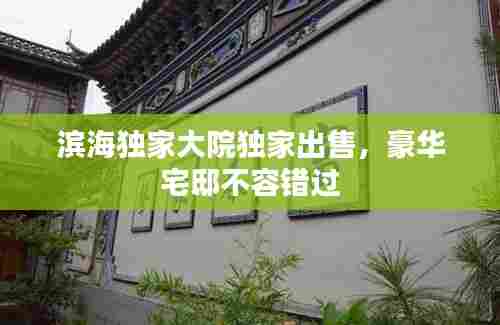 滨海独家大院独家出售，豪华宅邸不容错过
