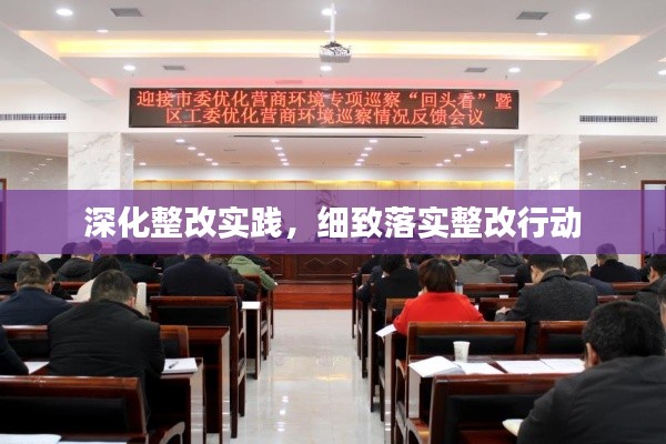 深化整改实践，细致落实整改行动