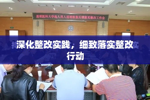 深化整改实践,细致落实整改行动