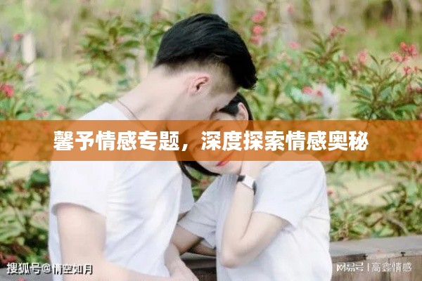 馨予情感专题,深度探索情感奥秘