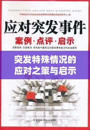 突发特殊情况的应对之策与启示，经验分享与教训汲取