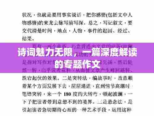 诗词魅力无限，一篇深度解读的专题作文