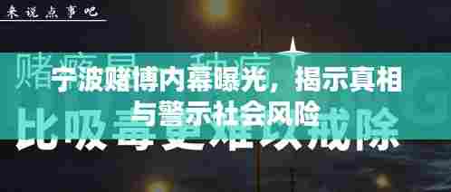 宁波赌博内幕曝光，揭示真相与警示社会风险