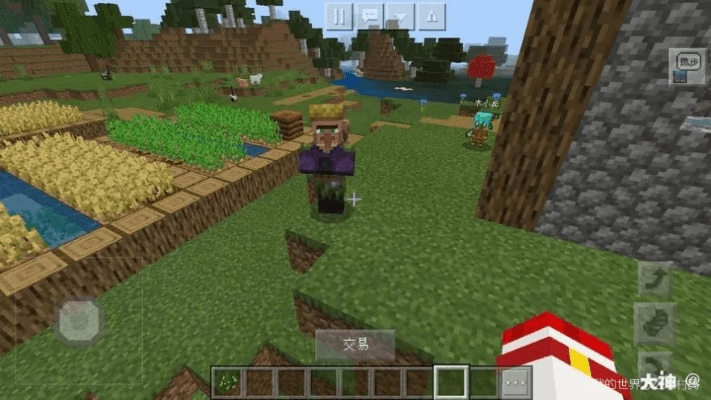 村民版本,重要性说明方法-eShop_v5.173