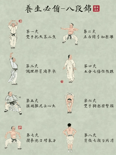 八段锦 版本,专业执行解答 PalmOS1_v5.793