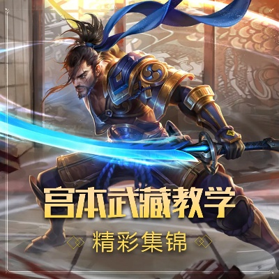 新版本宫本武藏视频,仿真方案实现_Advanced_v4.896