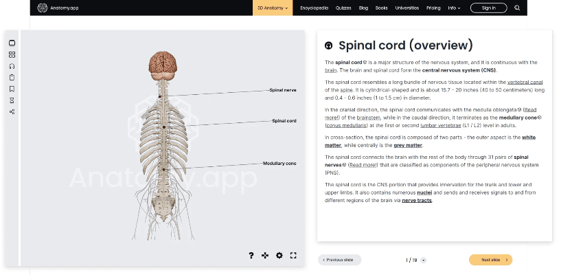 anatomy官方下载,动态分析解释定义 3K_v9.618