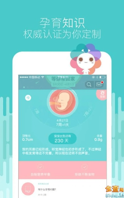 宝宝树孕育的版本,详细解读解释定义_4DM1_v9.758