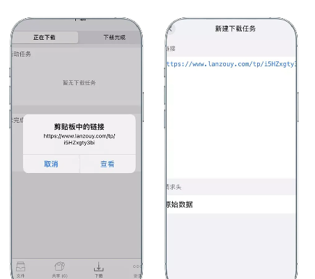系统工具软件ios安装旧版本,专家解读说明_动态版_v2.850,全面解析其优势与应用