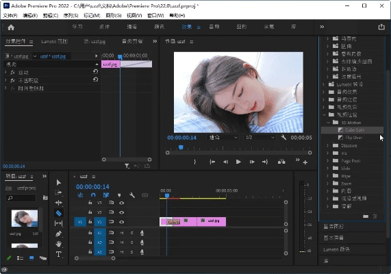 pr哪个版本好用,实地方案验证 免费版_v8.361