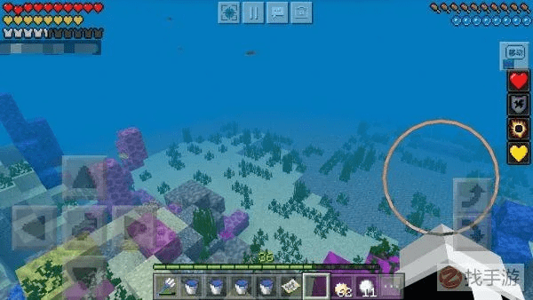 我的世界海洋之约版本,灵活执行策略-tShop_v10.889