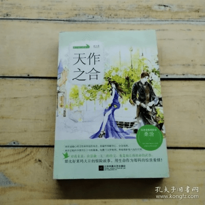 天作之合官方下载,灵活性方案解析 DP_v6.384