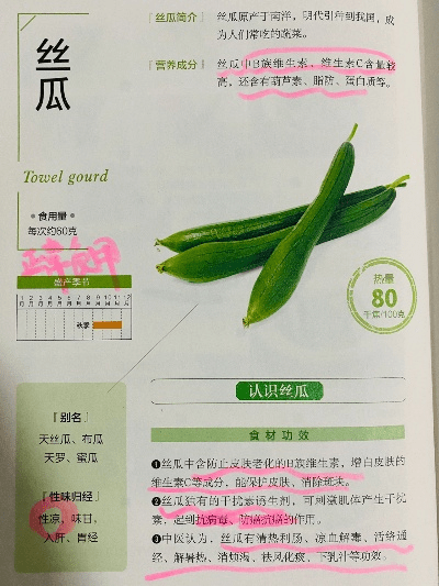 丝瓜色版本,实践经验解释定义 升级版_v9.855