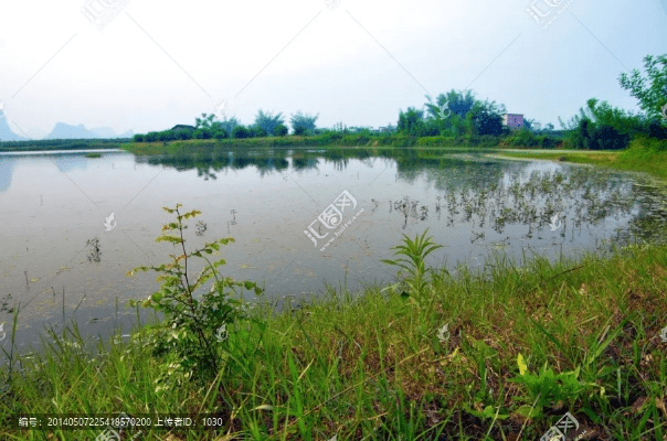 鱼塘官方下载,实际案例解析说明-HDR_v9.326