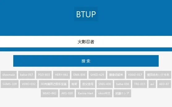 ru是什么版本,快捷问题计划设计|BT1_v4.439