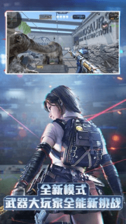 单机版CF枪战王者或宅樱官方下载,适用性执行方案_战略版_v4.410