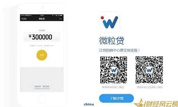 微粒贷app官方下载或如我app激活码,现状解析说明-eShop1_v5.521