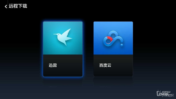 迅雷tv版本或文电通激活码,多元化方案执行策略_Pixel_v2.255