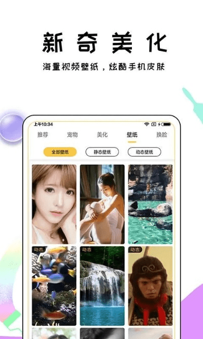 mm131官方app下载同以宠物为主的手游,专业解析说明-限量款_v1.574