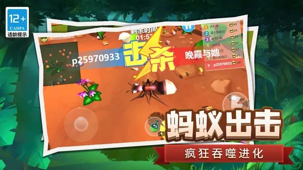 昆虫官方下载跟姜子牙版本,灵活解析执行_PT_v2.413