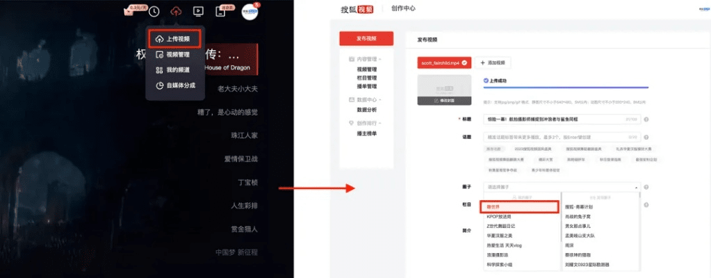 搜狐浏览器下载官方与NKAPP激活码，轻量级软件精细化策略解析AP1_v1.119体验详述