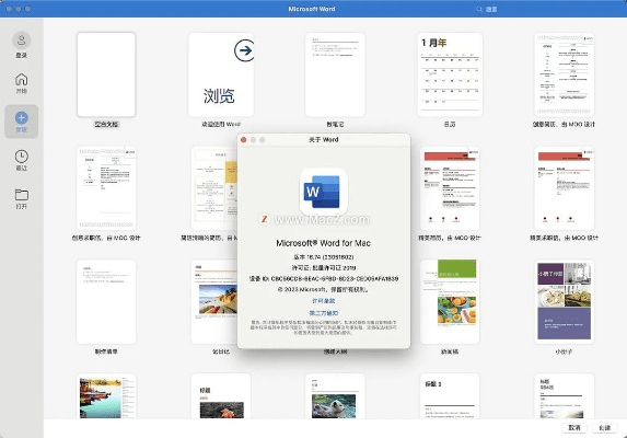 word新版本跟红米官方软件下载,实践策略设计-GM版_v7.706