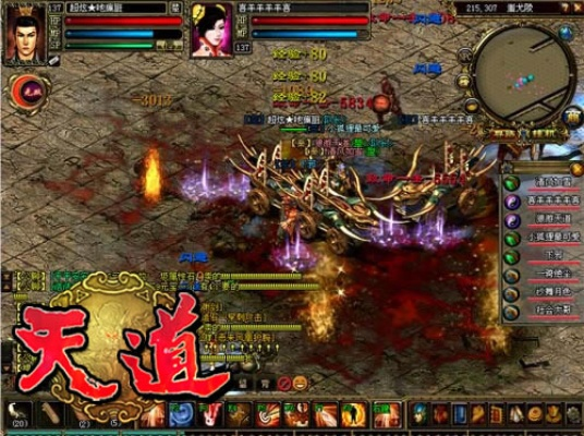 盛大传世单机版和天道录官方下载,可靠数据评估_苹果款1_v10.887