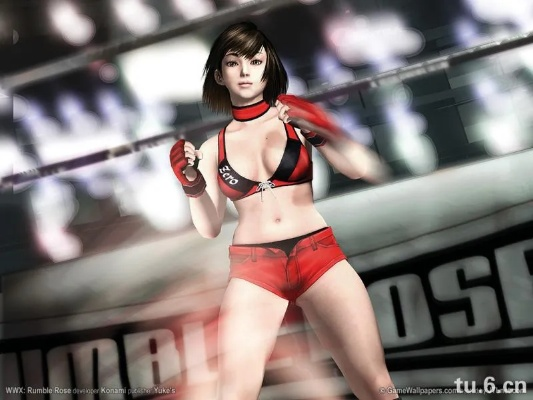 搏击玫瑰单机版跟文明曙光官方下载,实地评估数据方案-3K_v9.115